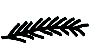 La plume du bandeau Plume pour la respiration