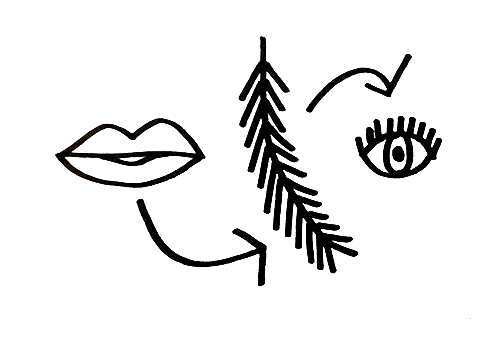 Le bénéfice 1 de Plume et de ses exercices de respiration